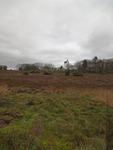 NWK 012.jpg